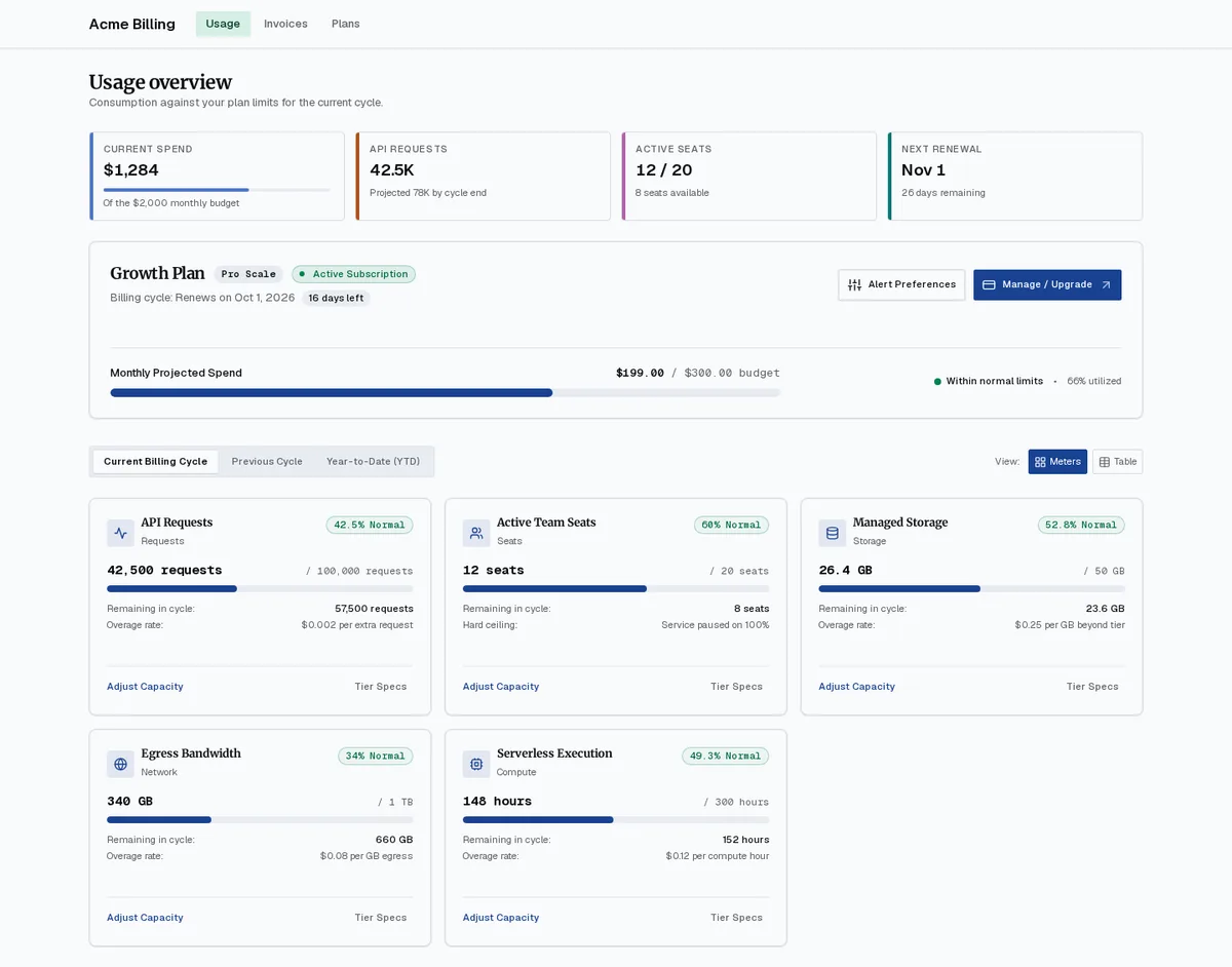 Usage overview page built in the recorded run